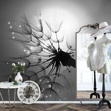 Fototapete Pusteblume Wohnzimmer Schlafzimmer Schwarz Weiss Vlies Tapete 9501c