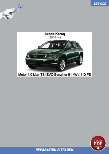 Download pdf skoda - pdf, karoq