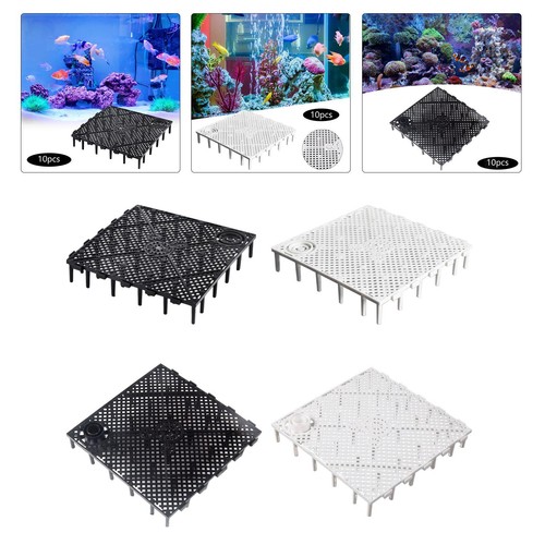 Stück aquarium - 10,