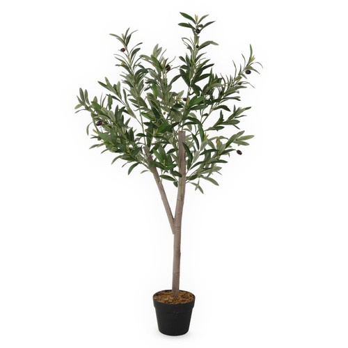 Kunst oliven baum topf - im,
