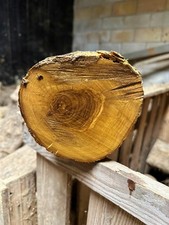 Olivenholz, Olive, zum