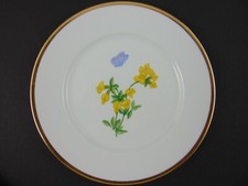 Handbemalter nymphenburger - handbemalter,