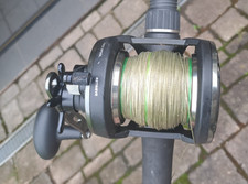 Multirolle Penn Warfare 30 Angelrolle Wels mit Schnur