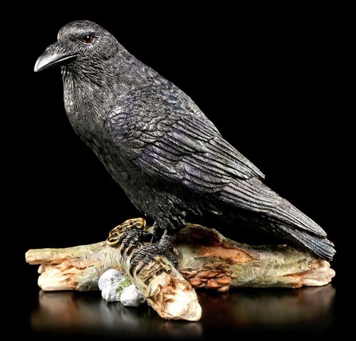 Raben figur the - raven, and