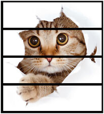 Wallario Aufkleber Möbelfolie Ikea Malm 4 Schub Katze Blick nach vorn katze loch