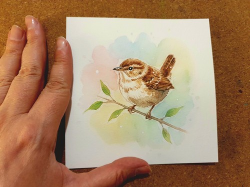 Aquarell zaunkönig - aquarell,