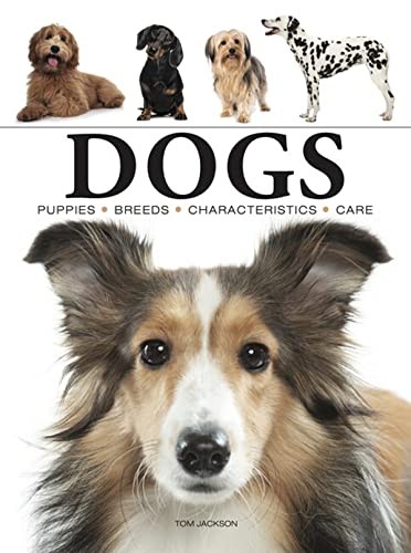 Dogs mini - dogs, (mini