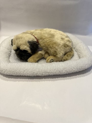 Atmender mops welpe perfect - atmender,