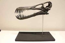 Pterosaurier (Flugsaurier)