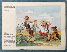 Natur-Bilder + Berliner