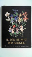 In der Heimat der Blumen. 4