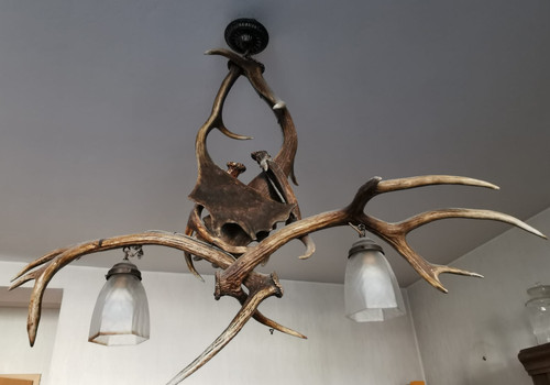 Geweihlampe damwild - damwild, &