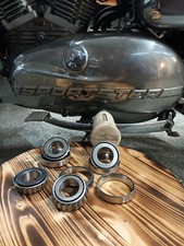 Harley Davidson Iron Head