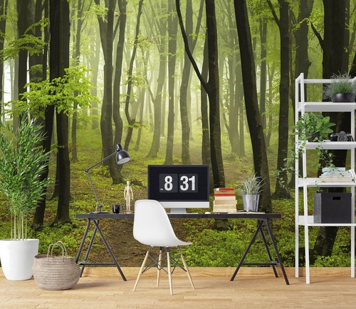 Wald bäume c5917 - 3d,
