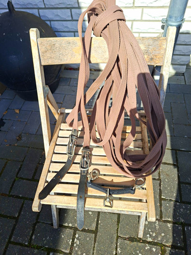 Doppellonge mit longierbrille - doppellonge,