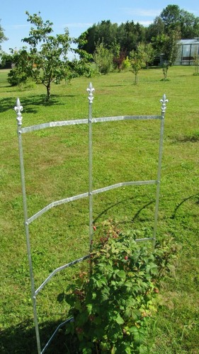 Rankgitter mailand spalier - mailand, ->
