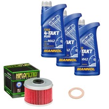 Adly / Herchee Hurricane 500 S