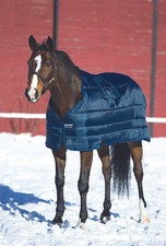 Horseware Liner 100g