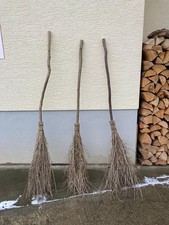 Besen Hexenbesen Reisig