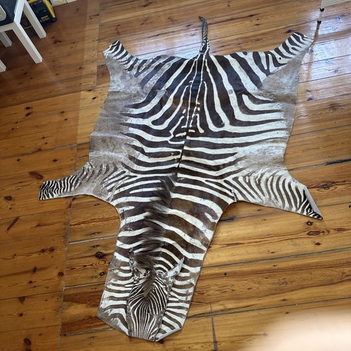 Zebra fell echt 1996 - zebra,