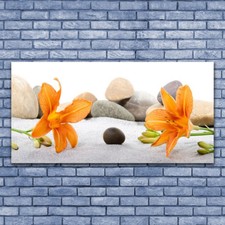 Acrylglasbilder Wandbilder