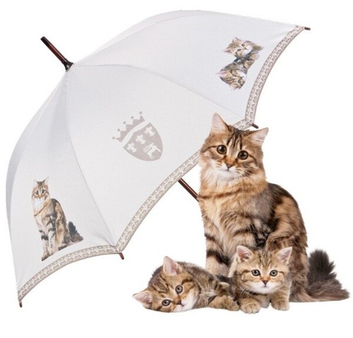 Stockschirm regenschirm - stockschirm,