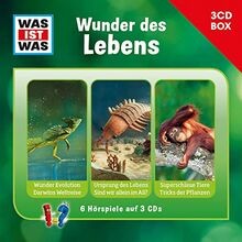 Was ist hörspielbox - ist,