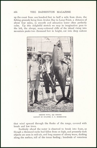 Angling santa catalina - angling,