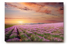 Sinus Art Wandbild Unendliches