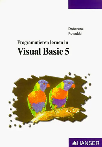 Programmieren lernen visual - lernen,