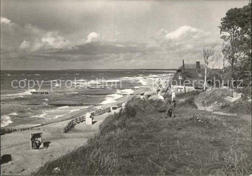 Ahrenshoop ostseebad haus - ahrenshoop,