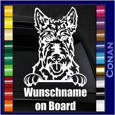 Scottish Terrier Aberdeen Auto