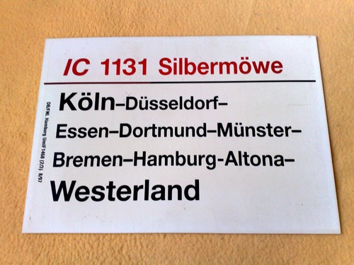 Zls 1131 silbermöwe - ic,