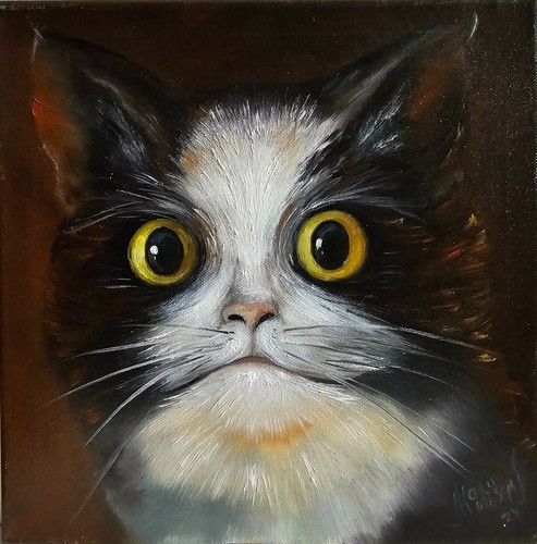 Katze original ölgemälde - katze, original-Ölgemälde