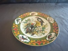 Wandteller /von The Bradford Prachtvolle Vögel Spechte Ursula Band