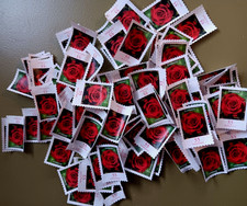 100 Sammler-Briefmarken a 55 Cent@ungestempelt/ungummiert@Dauerserie Blumen@Rose