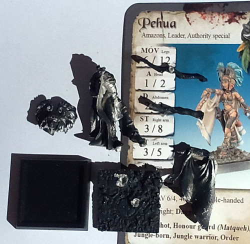 Pehua freebooters fate - -,