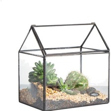 Kleines Geometrisches Glas Terrarium Hausform Sukkulenten Moos Farn Akzent