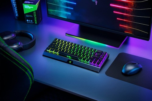 Razer blackwidow mini - blackwidow,