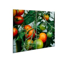 Herdabdeckplatten Set 2x30x52