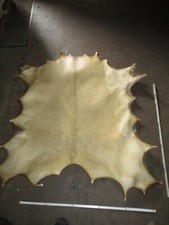 #45, Hirsch Pergament, Hirsch Trommelleder, Hirschpergament, Rohhaut