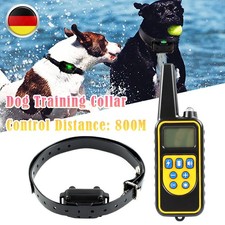 800M Hund Ausbildung