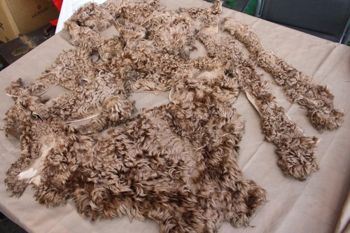 Persianer mit nappa lamm felle - mit,