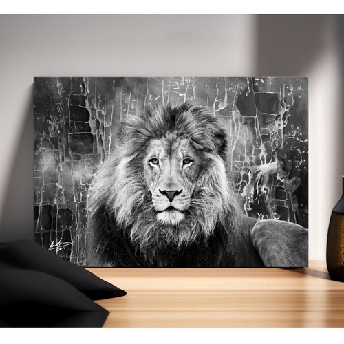 Leinwand bild löwe tiere - bild,
