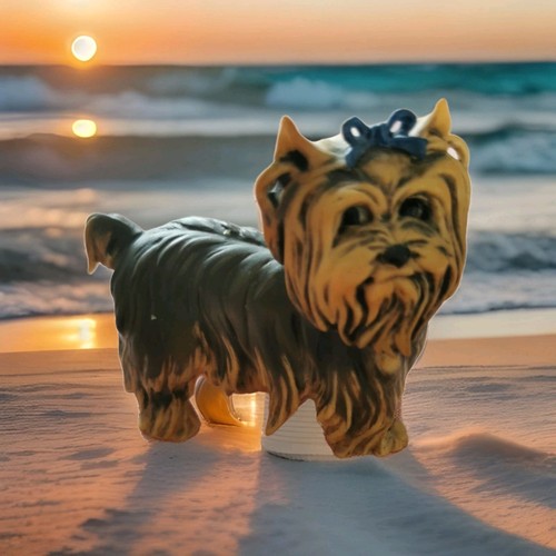 Yorkshire terrier kaiser - ,