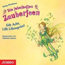 Die fabelhaften zauberfeen - die,