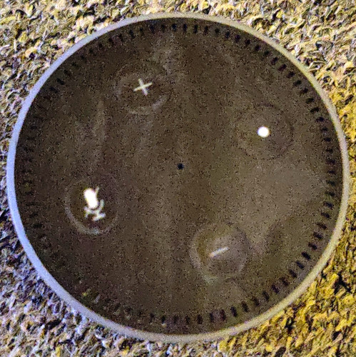 Amazon echo dot smart - echo,