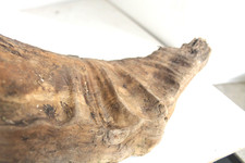 Schwemmholz Treibholz   ❤️