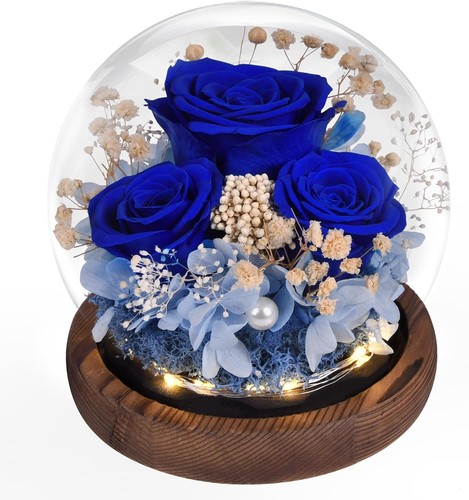 Ewige rose glas mit - rose,