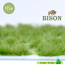 502 / Bison Gras Sommer / 115
